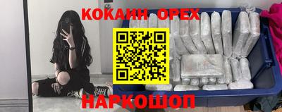 индика Новокубанск