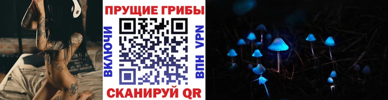 Псилоцибиновые грибы Cubensis продажа наркотиков omg онион Алапаевск